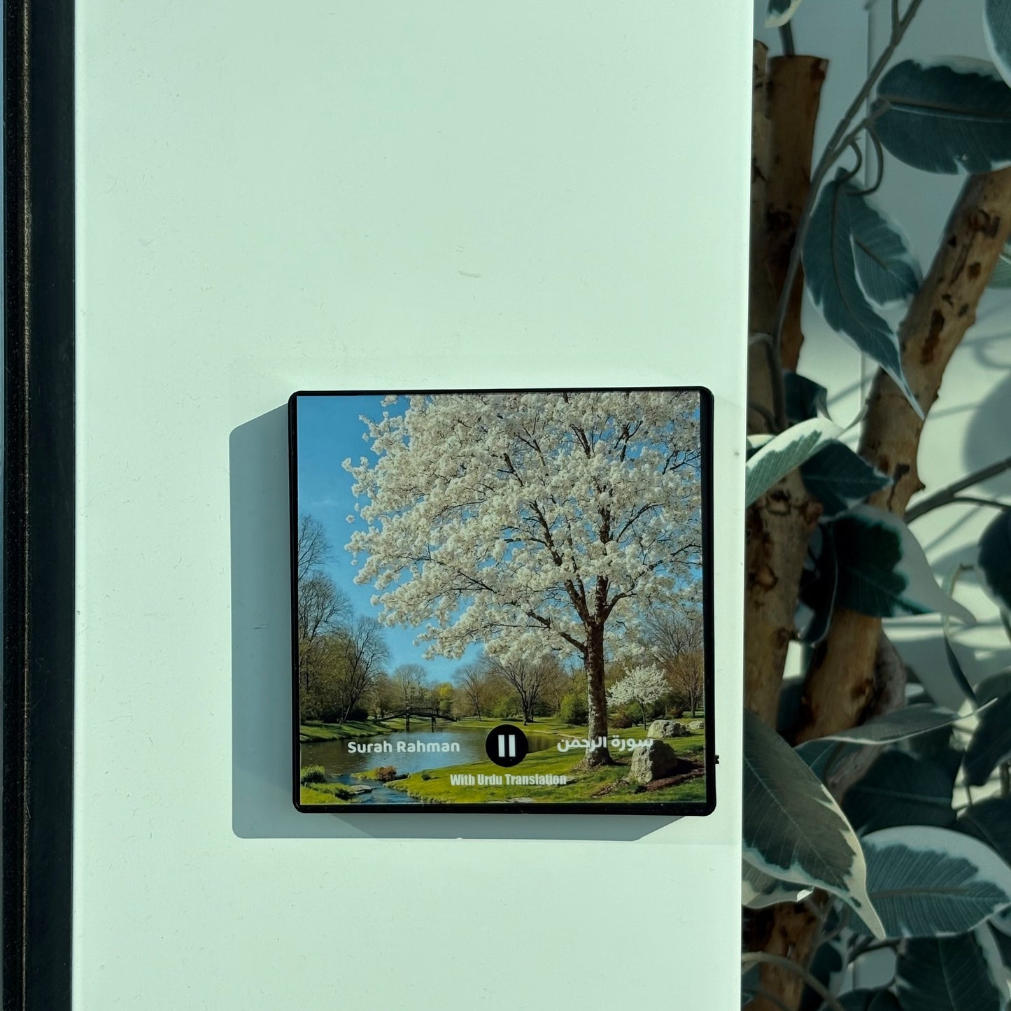 Surah Rahman With Urdu Translation | سورة الرحمن | with Urdu and Hindi Translation